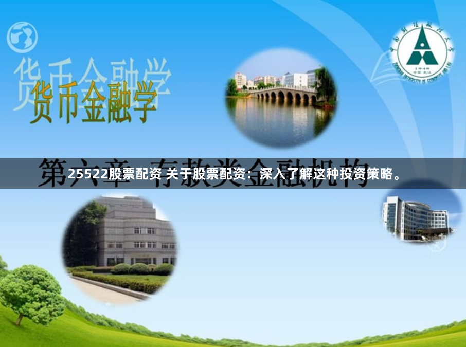 25522股票配资 关于股票配资：深入了解这种投资策略。