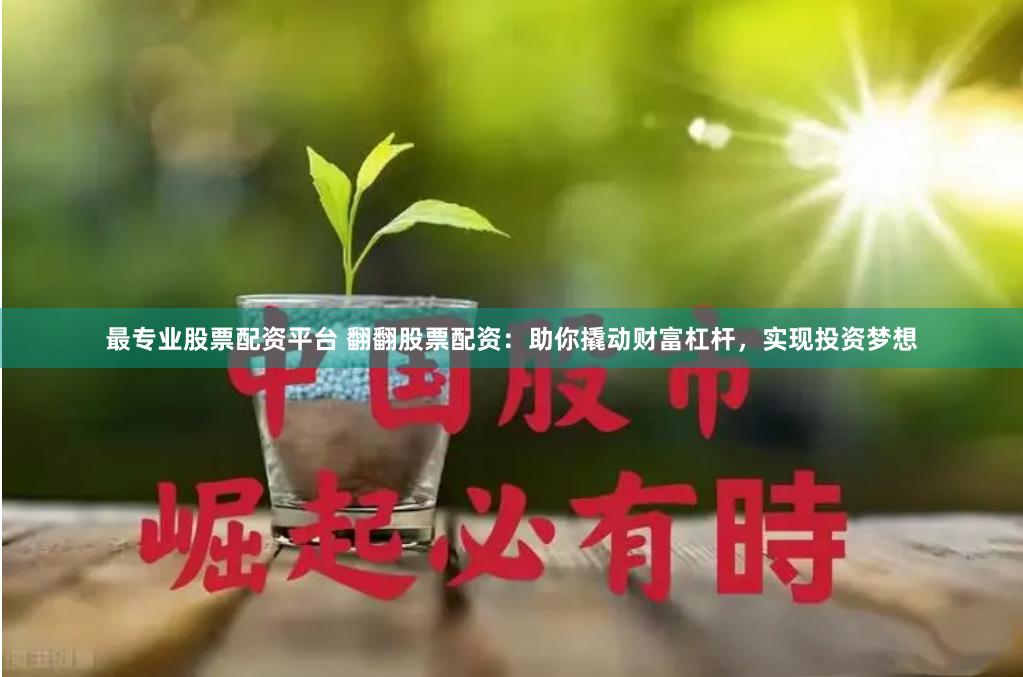 最专业股票配资平台 翻翻股票配资：助你撬动财富杠杆，实现投资梦想